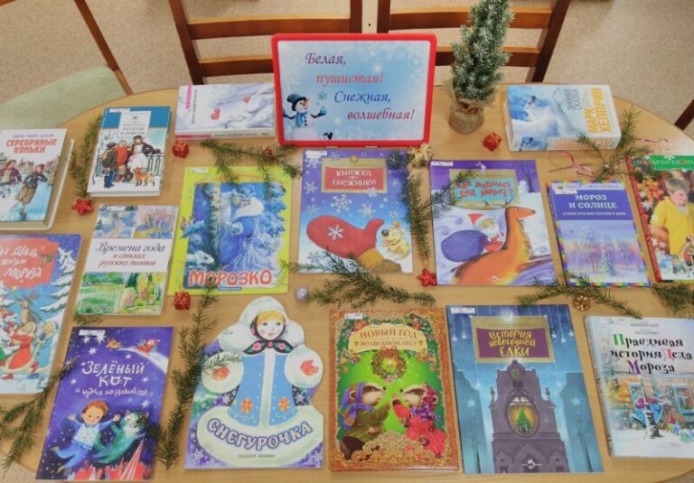 Новогодний книгобум «Новый год молодой в сказку нас зовет с собой» в Талажской библиотеке Приморского района